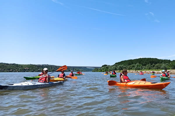 Kajak avantura na Dunavu kod Krčedina - Kajak avantura za team building